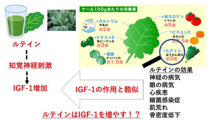 円形脱毛症　名医